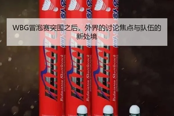 WBG冒泡赛突围之后，外界的讨论焦点与队伍的新处境 - manguantiyu